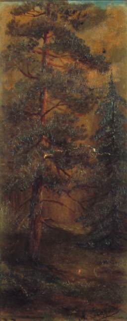 Baum bei Sonnenuntergang von Andrei Afanasyevich Jegorov.