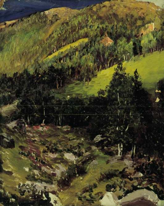 von Nikolai Nikanorowitsch Dubowskoi, 1893.