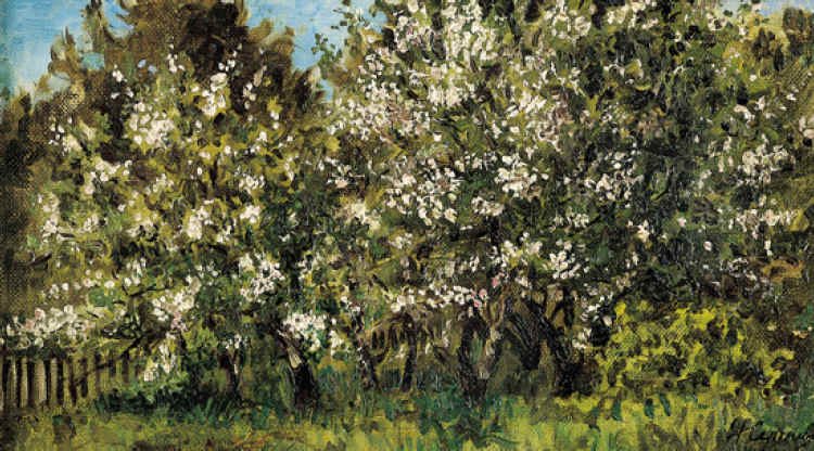 Frühling. Blühende Apfelbäume in der Ukraine von Nikolai Alexandrovich Sergeyev.
